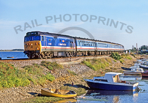 50017-Y-Cockwood-020990-JC573