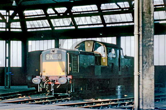 D8590 Thornaby 0965  RW245