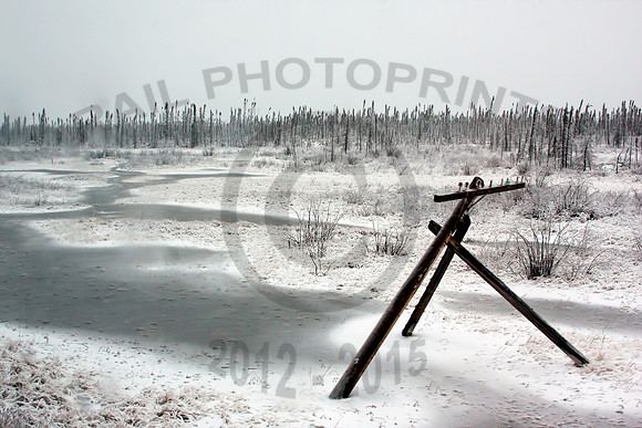 Tundra 041108 JC840