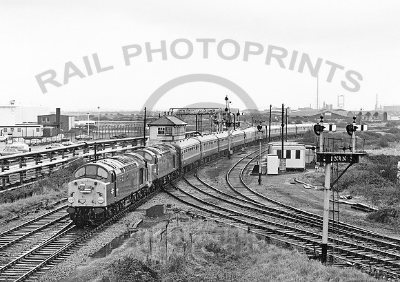 40086-Y-HallenMarsh-241184-JC678