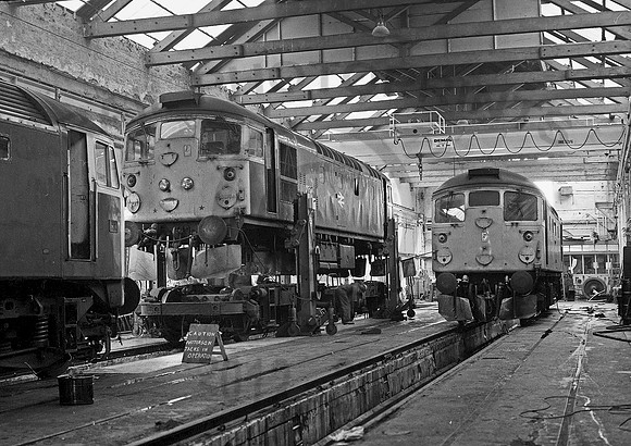 26041-InvernessShed-260681-JC479