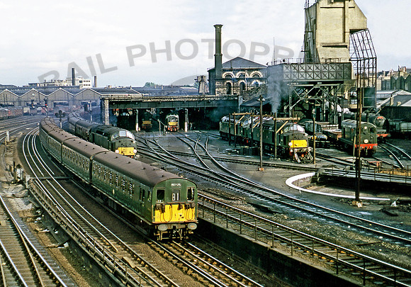Camden Shed 100862 DC869