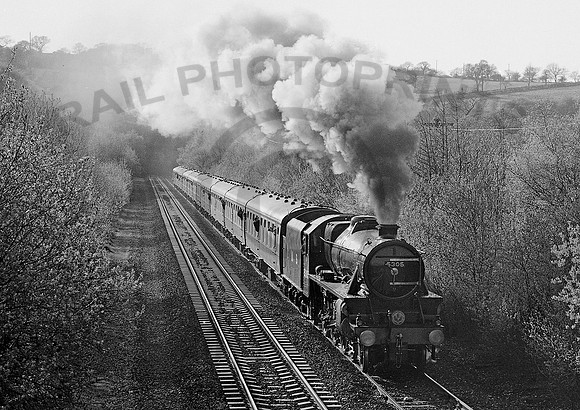 5305-Y-Disley-1983-AHB255
