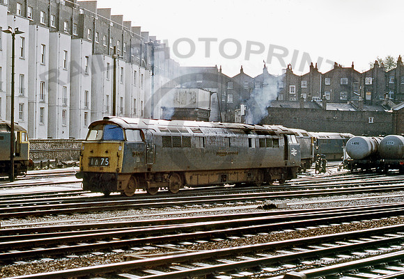 1021 Ranelagh Bridge 0674 RPC612