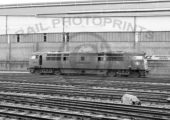 1022-Y-Paddington-090776-RPC180