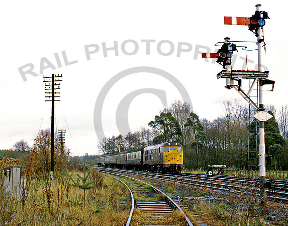 31115-Brandon-041281-GE