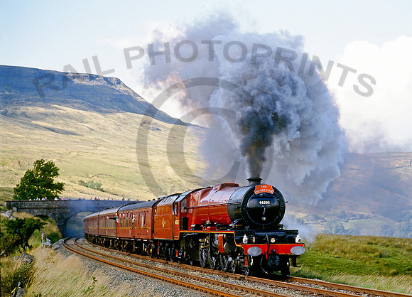 46203 Arten Gill 1993 CW328