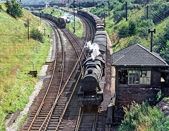 48522 Wellington 0661 MD132