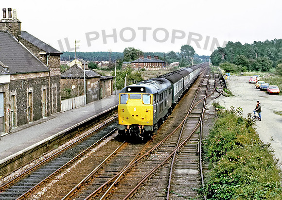 31205-Brandon-090980-GE2616
