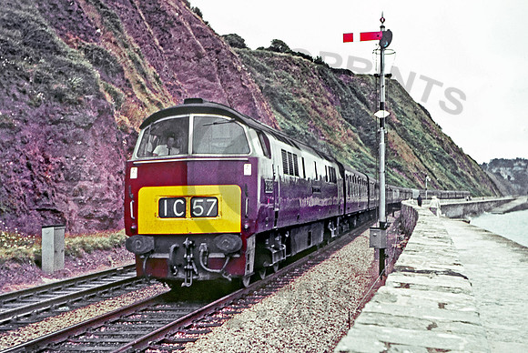 D1040 Teignmouth 150767 DC040