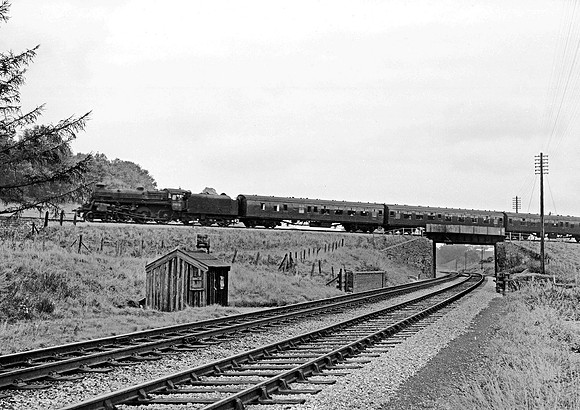 75072 Cole 021065 HB65AV671