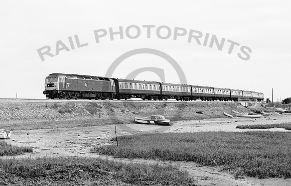 47009-Cockwood-100678-JC1