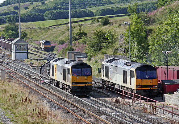 60015-61-Y-PeakForest-110806-JC8926