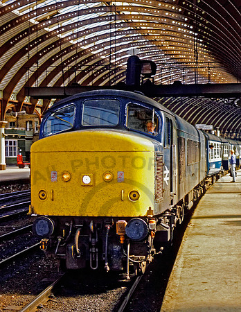 45148 York 280586 BR162