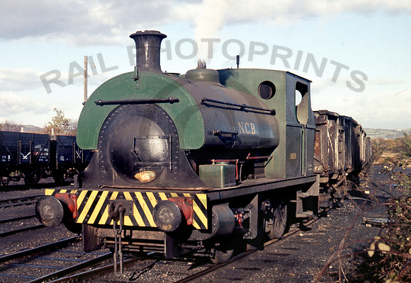 Peckett 1426 Brynlliw 1970 JC466