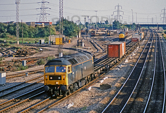 47096 Newport ADJ  170888 JC242
