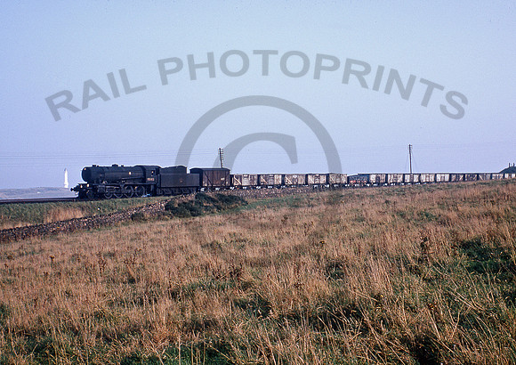 90168-CoveBay-1065-BR642