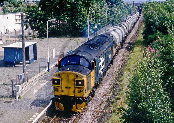 37114  Alness  300888  DCC571