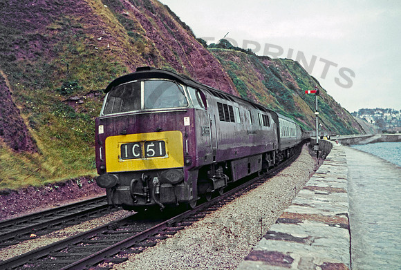 D1023 Teignmouth 150767 DC21