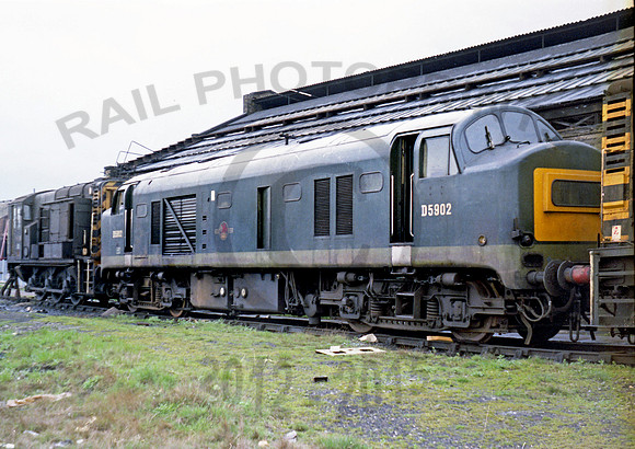 D5902 Stratford  260470 RP117