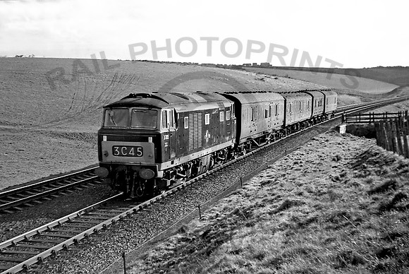D7015-Y-Bincombe-0366-RP