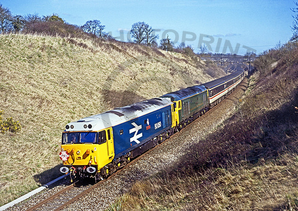 50050-50007-CokerWood-260394-JC144