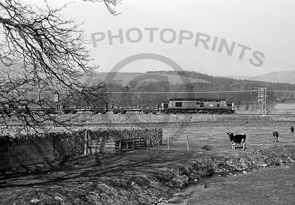 6842   Lamington 1969  DA068
