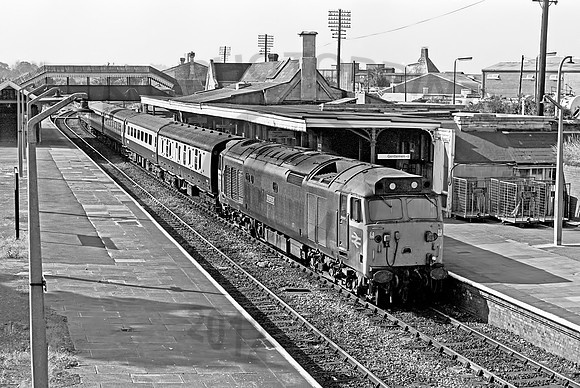 50001-Trowbridge-160778-JC