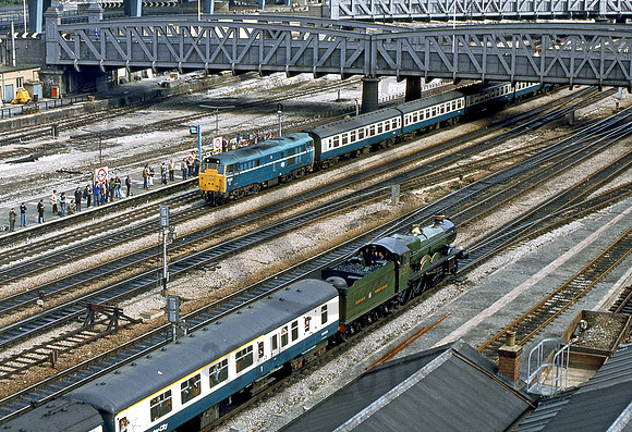 31413_&_5051_Royal_Oak_200981_GE3102-1