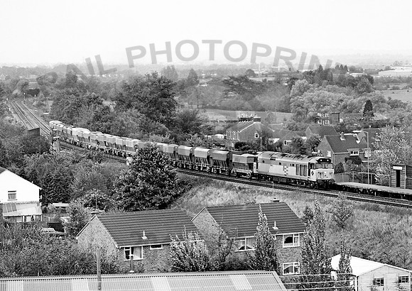 50149-Y-DiltonMarsh-181087-JC194