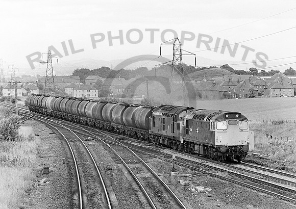 37157-27106 Y-GreenhillLower-100882-JC282
