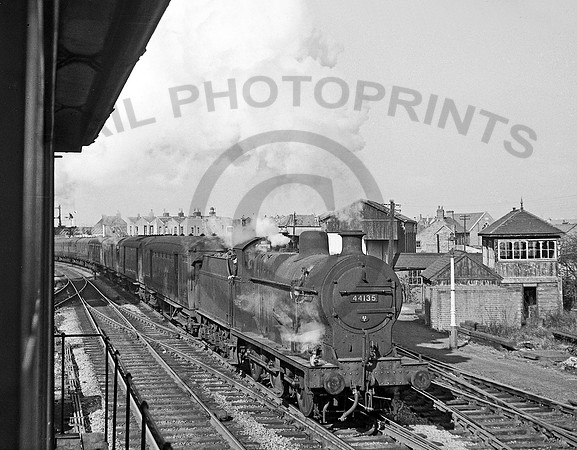 44135-Y-Fishponds-0462-RPC128