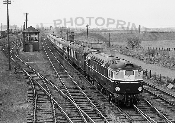 D5316 Cadder 150264  CR071