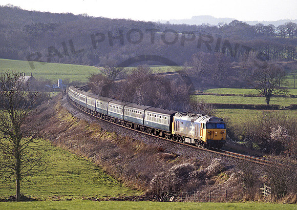 50007-Y-Pendomer-301283-JC839