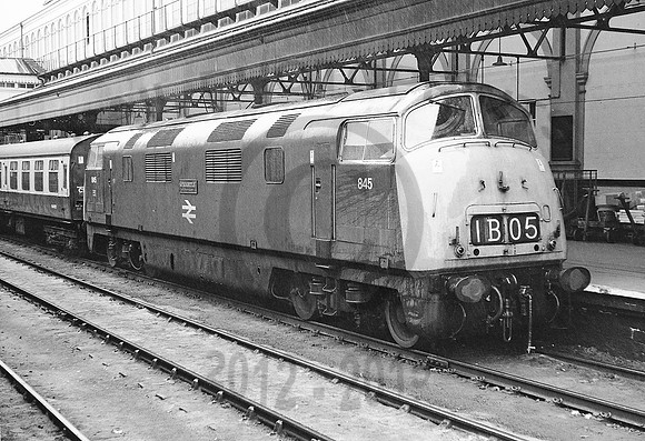 845-Exeter-150571-DM095
