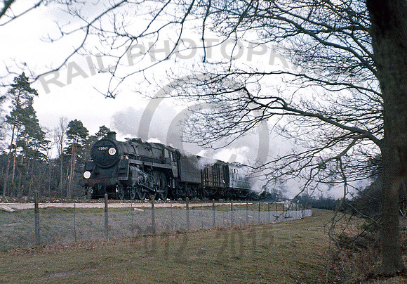 73065-Y-Brockenhurst-0667-BR578