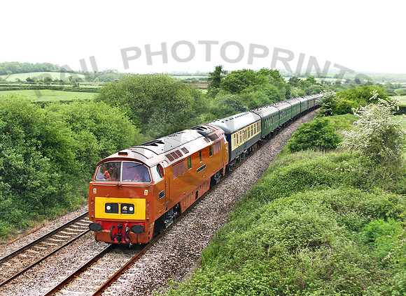 D1015-UptonNoble-280505-JC2531