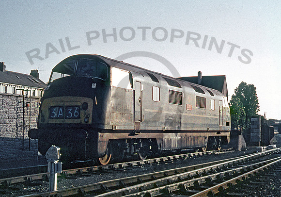 D803-Y-Plymouth-190865-RL206