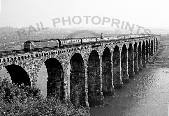 47087 Berwick 0675 DA176