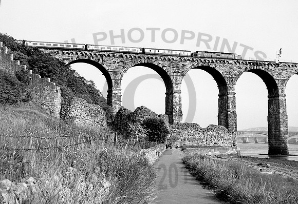 55018 Berwick 0675 DA175