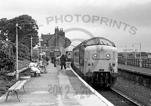 55018 Dunbar 280679 DA192