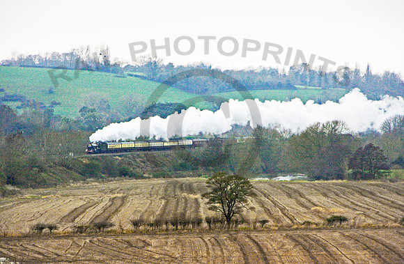 6024 Newton Meadows 121209 JC805-2