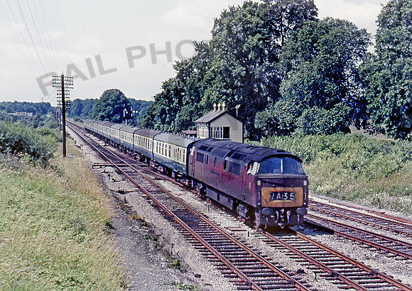 D1002 Fairwood 120769 HB710