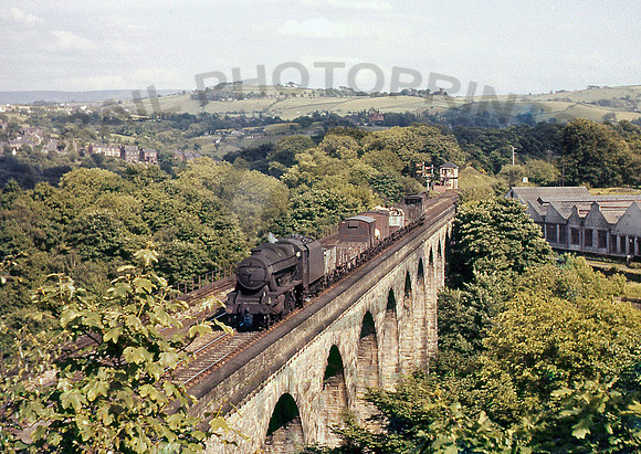48371-Y-Marple-1963-AHB739