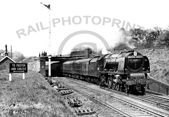 46236 Birdswood Flyover-300460-RAW202R