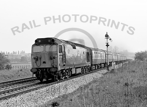 50050  Somerton 200578  JC