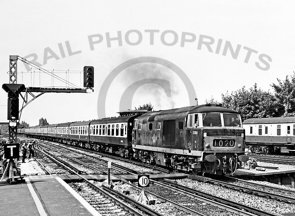 D7005-Y-Surbiton-1969-RPC825