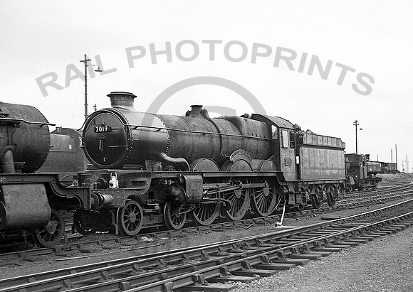 7019-Y-Oxley-0564-BR782