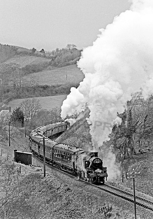 41320 Toller 220167 RPC318