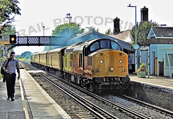37116 Goring 260617 JAMV116R